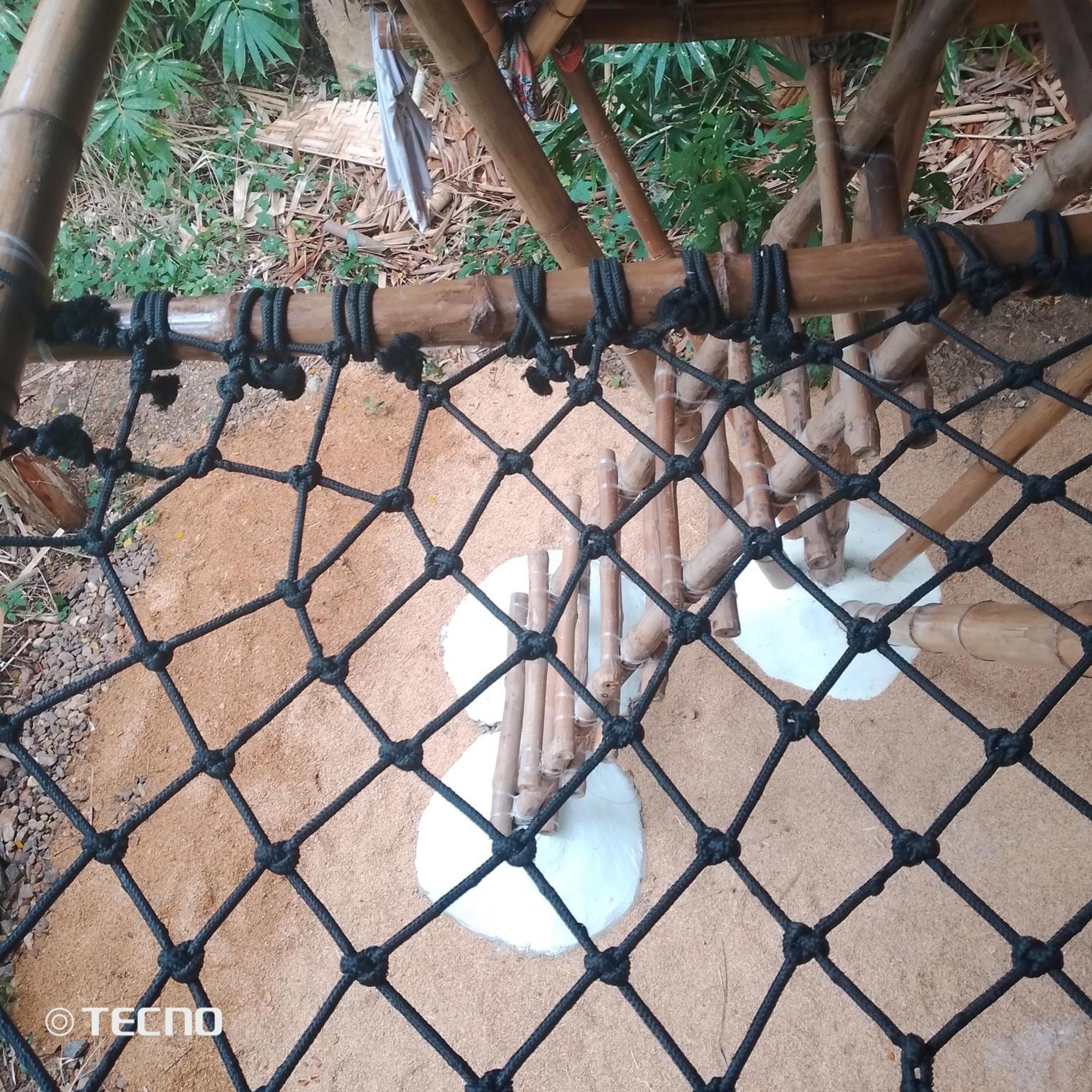 Ecocio Jungle Hostel 科隆 外观 照片