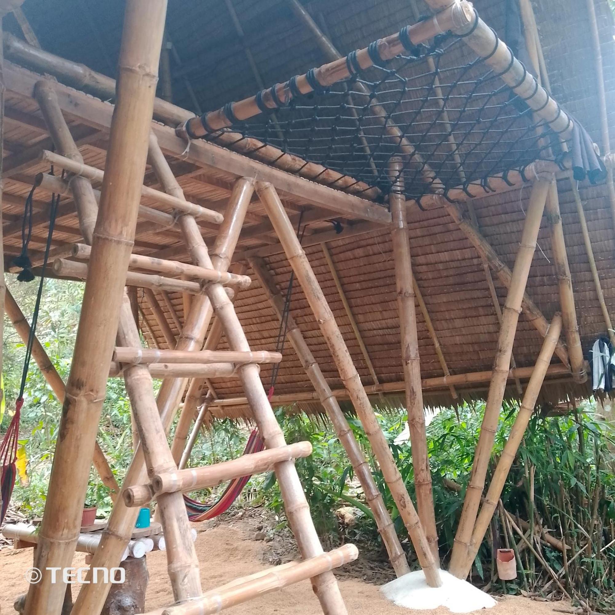 Ecocio Jungle Hostel 科隆 外观 照片