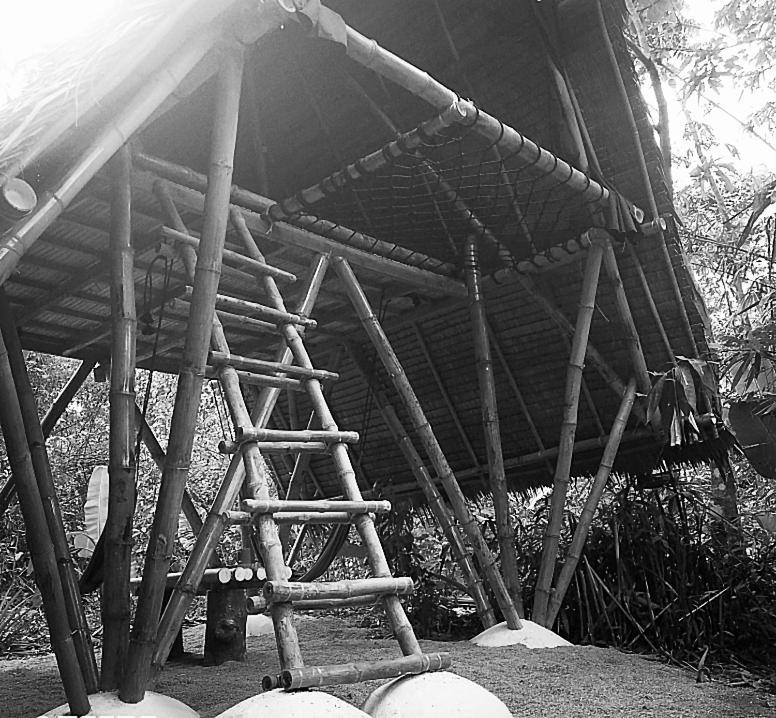 Ecocio Jungle Hostel 科隆 外观 照片