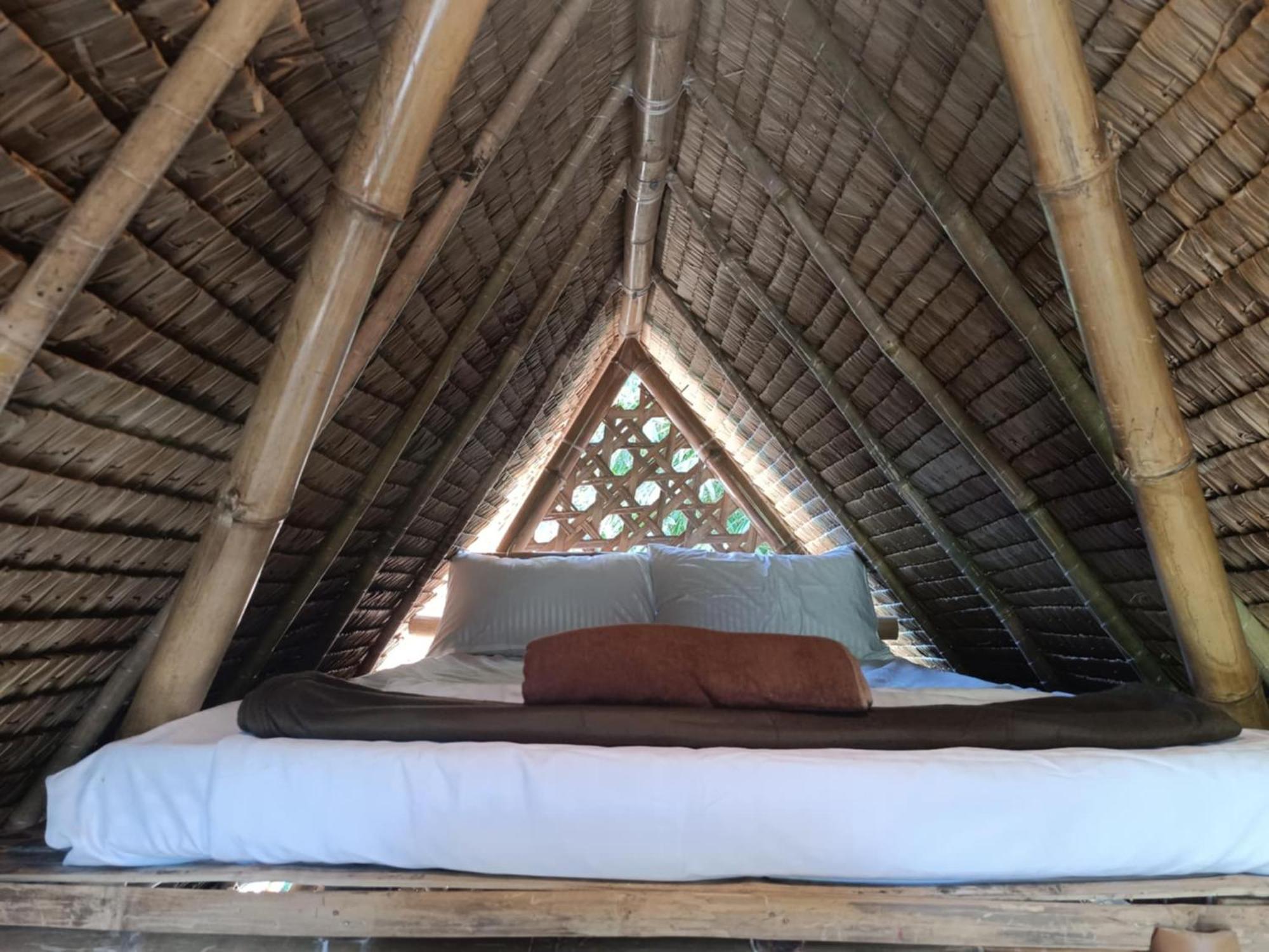 Ecocio Jungle Hostel 科隆 外观 照片