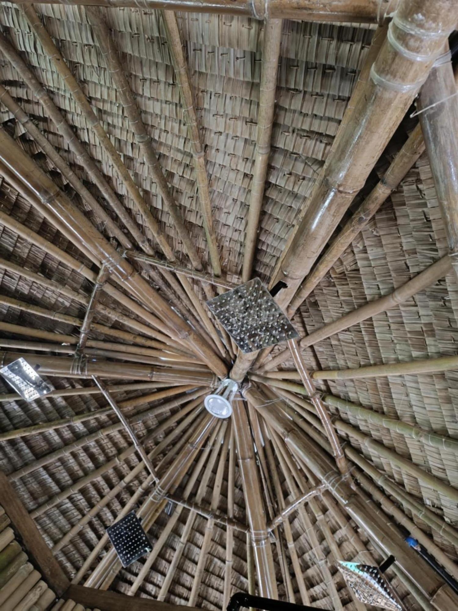 Ecocio Jungle Hostel 科隆 外观 照片