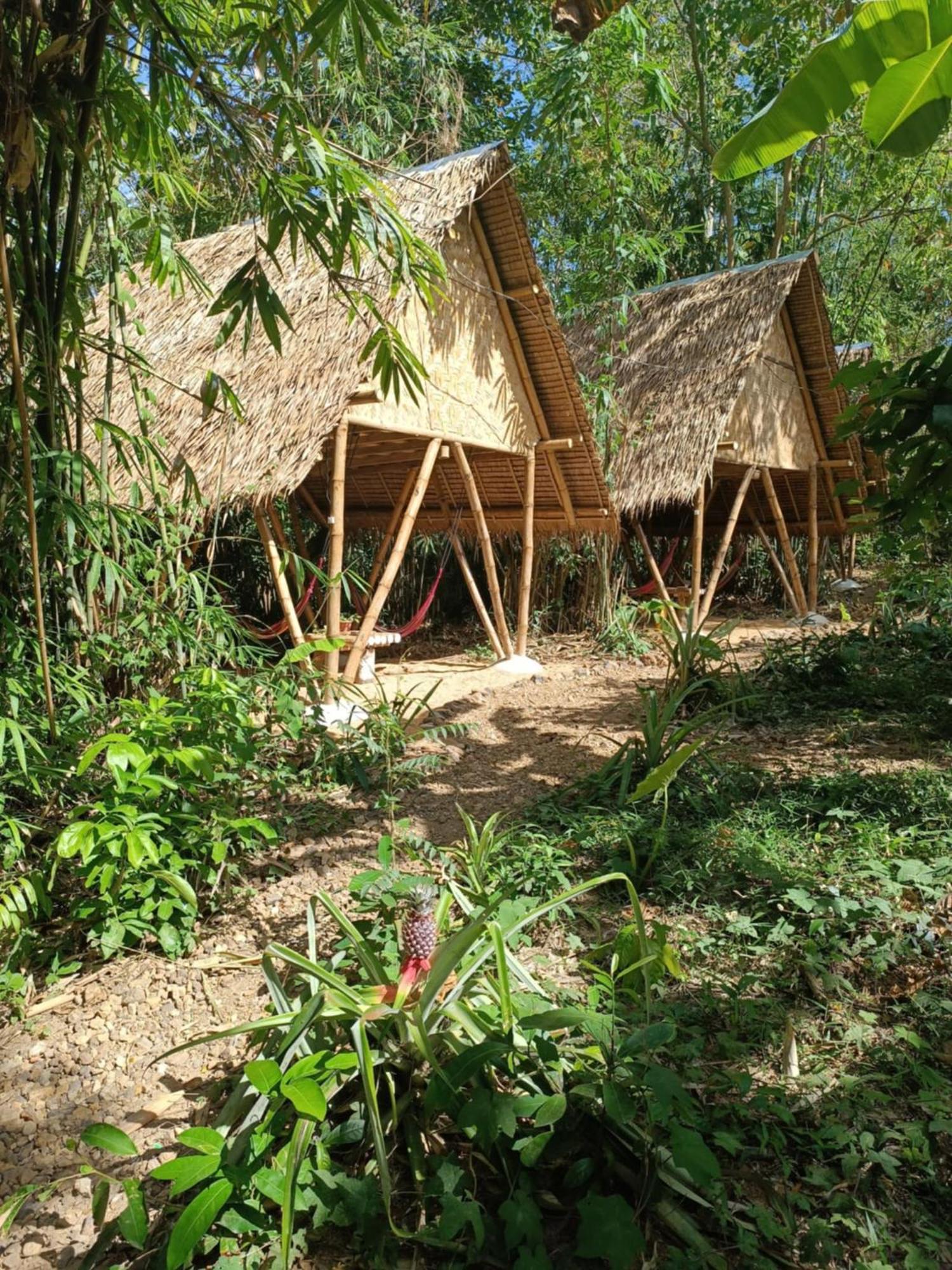 Ecocio Jungle Hostel 科隆 外观 照片