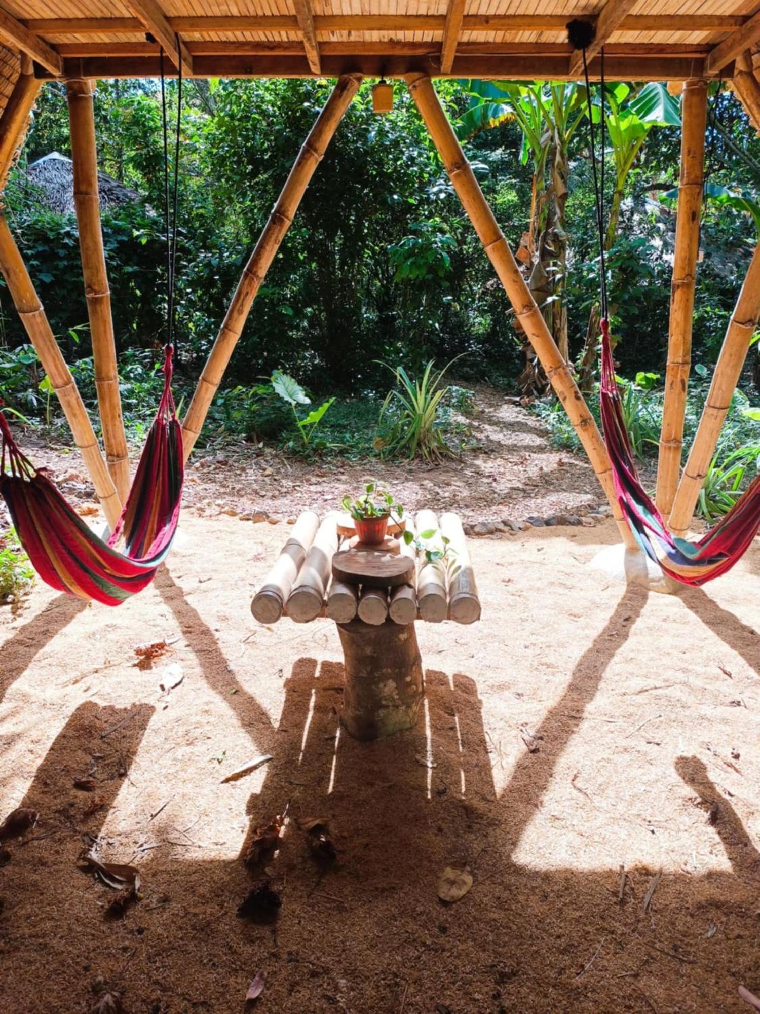 Ecocio Jungle Hostel 科隆 外观 照片