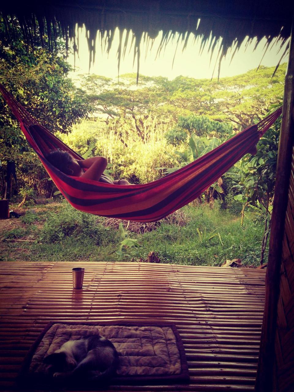 Ecocio Jungle Hostel 科隆 外观 照片